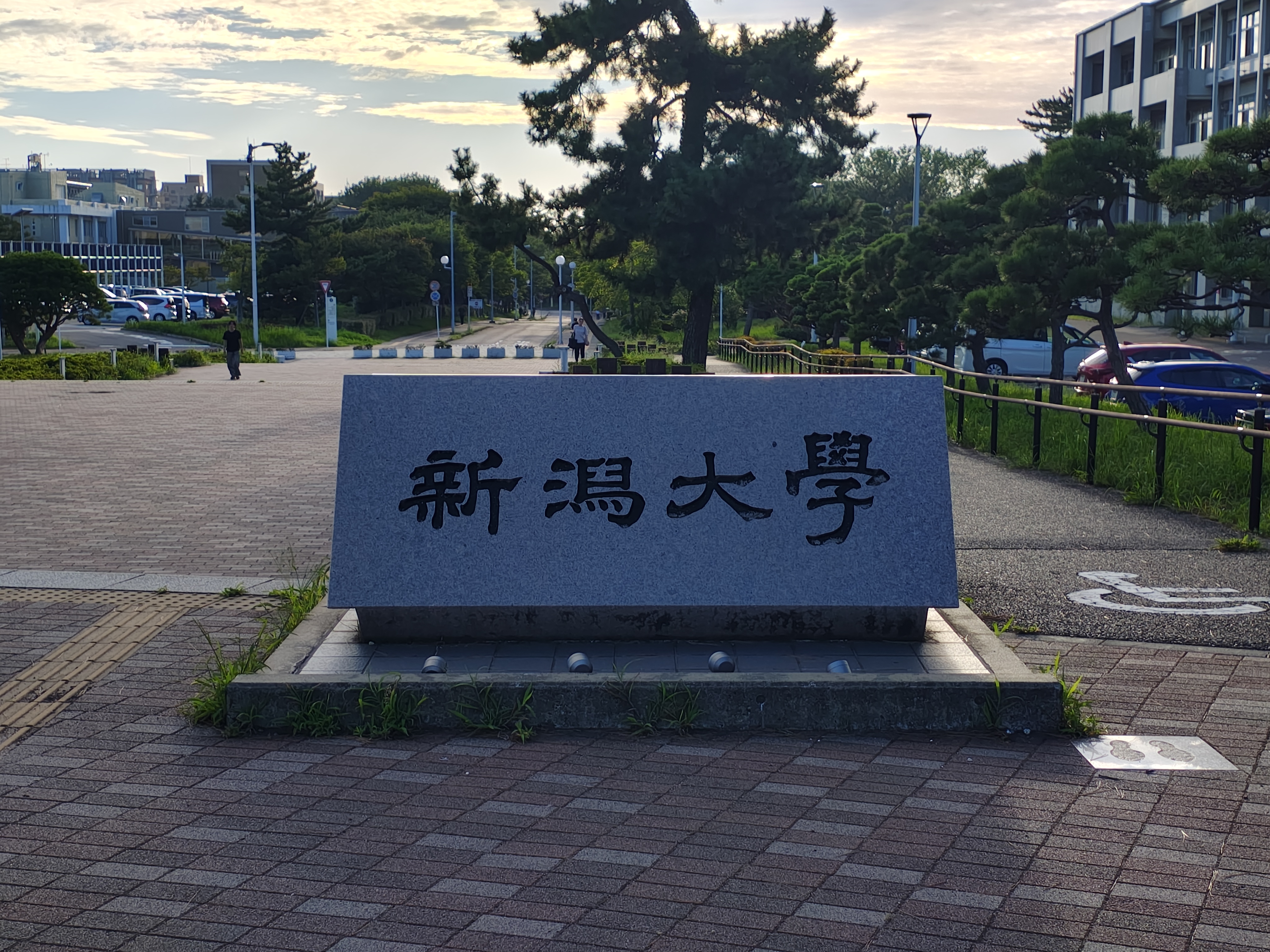 新潟大学
